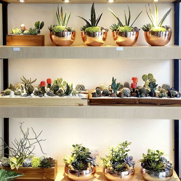 garden workshop 2